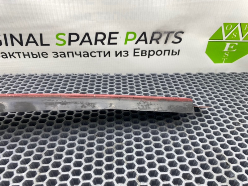 Ресничка, 1000 рублей, Калининград