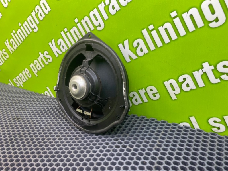 Динамик, 1500 рублей, Калининград