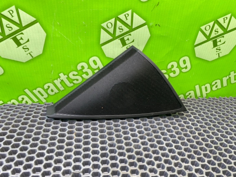 Крышка динамика, 1000 рублей, Калининград