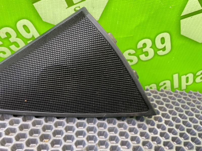 Крышка динамика, 1000 рублей, Калининград