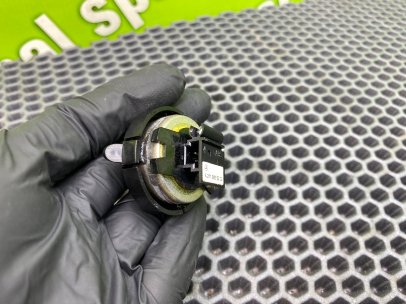 Динамик, 1000 рублей, Калининград