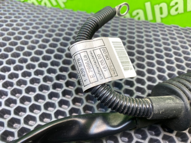 Коса мотора, 3100 рублей, Калининград