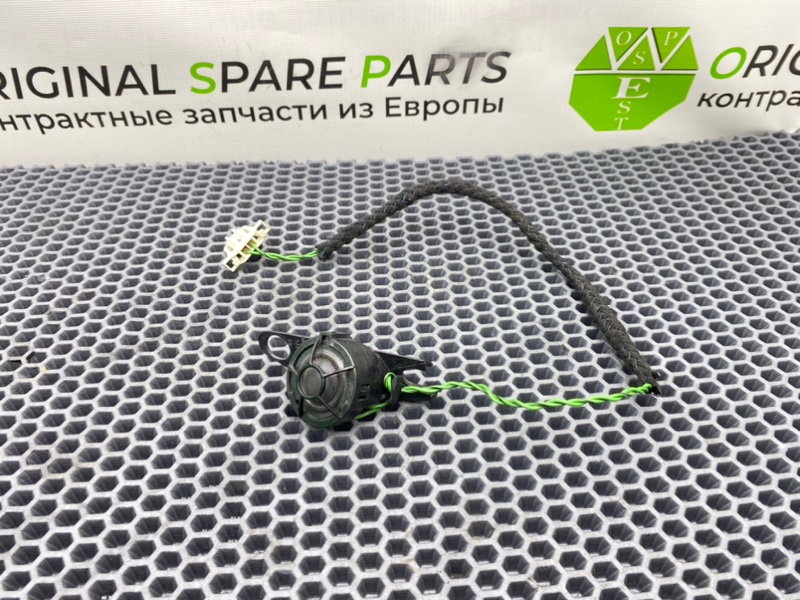 Динамик высокочастотный, 1000 рублей, Калининград