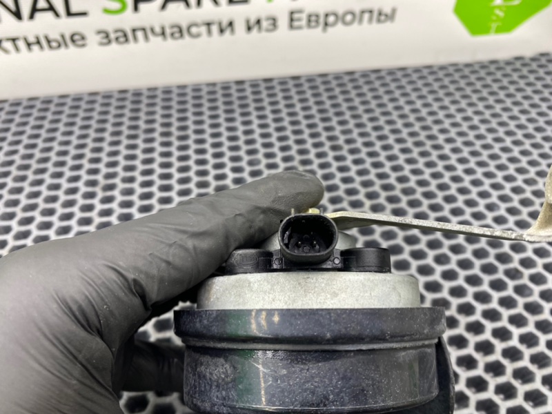 Звуковой сигнал, 1000 рублей, Калининград