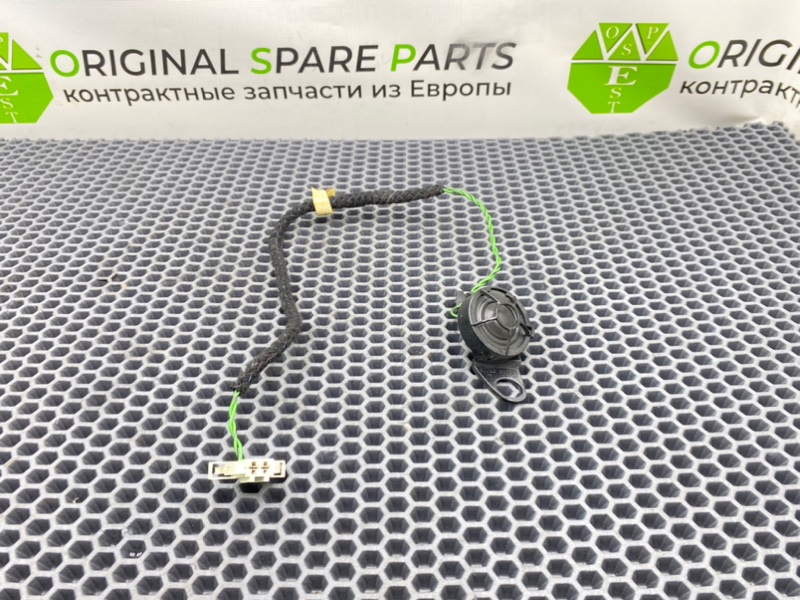 Динамик высокочастотный, 1000 рублей, Калининград