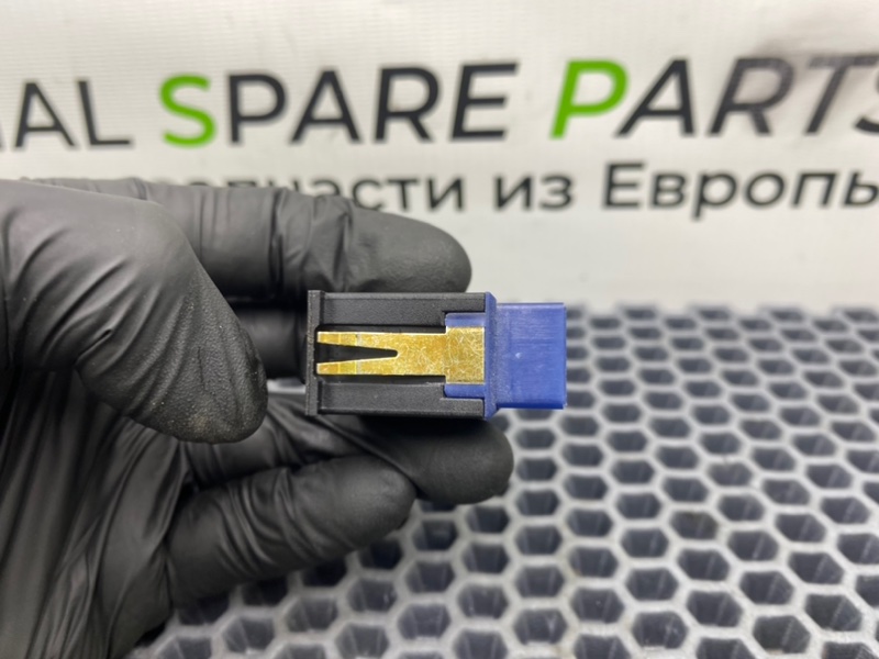 Кнопка, 600 рублей, Калининград