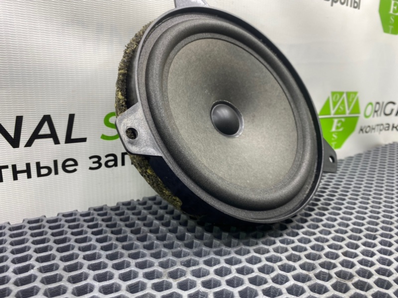 Динамик, 1000 рублей, Калининград