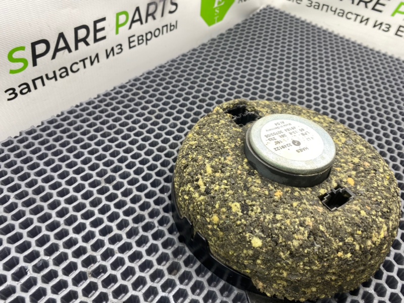 Динамик, 1000 рублей, Калининград