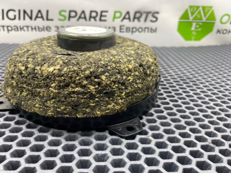 Динамик, 1000 рублей, Калининград