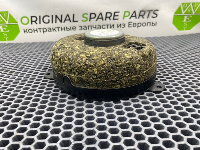 Динамик, 1000 рублей, Калининград