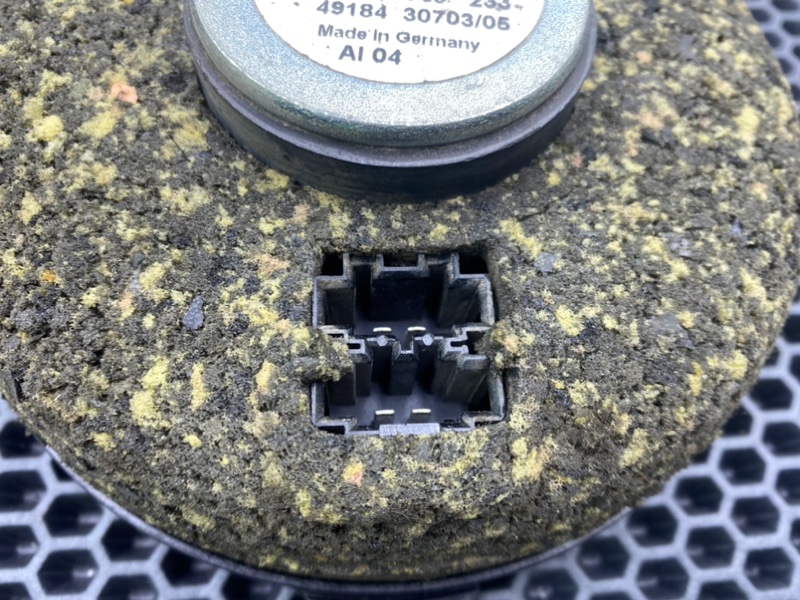 Динамик, 1000 рублей, Калининград