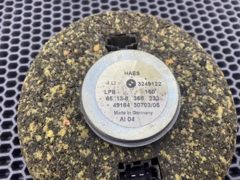 Динамик, 1000 рублей, Калининград