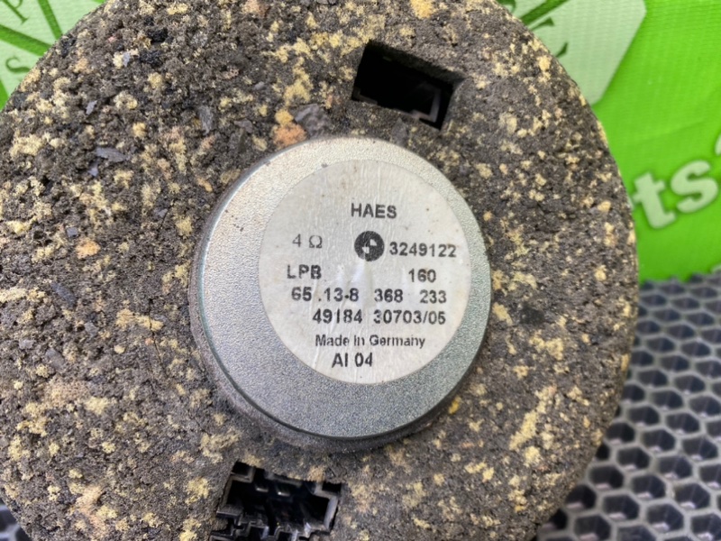 Динамик, 1000 рублей, Калининград