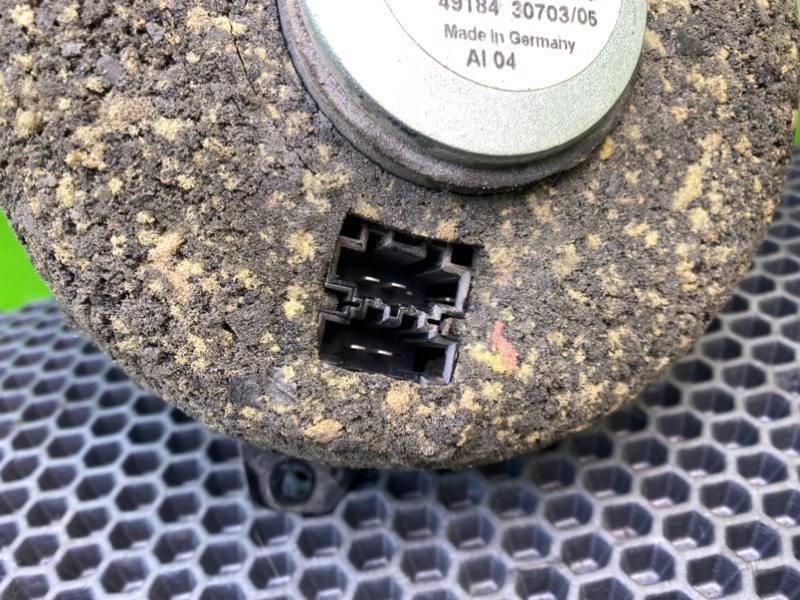 Динамик, 1000 рублей, Калининград