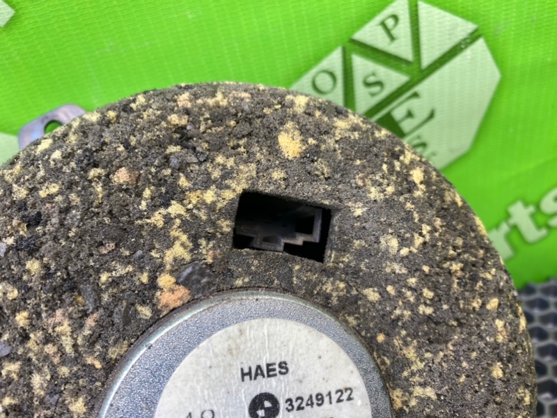 Динамик, 1000 рублей, Калининград