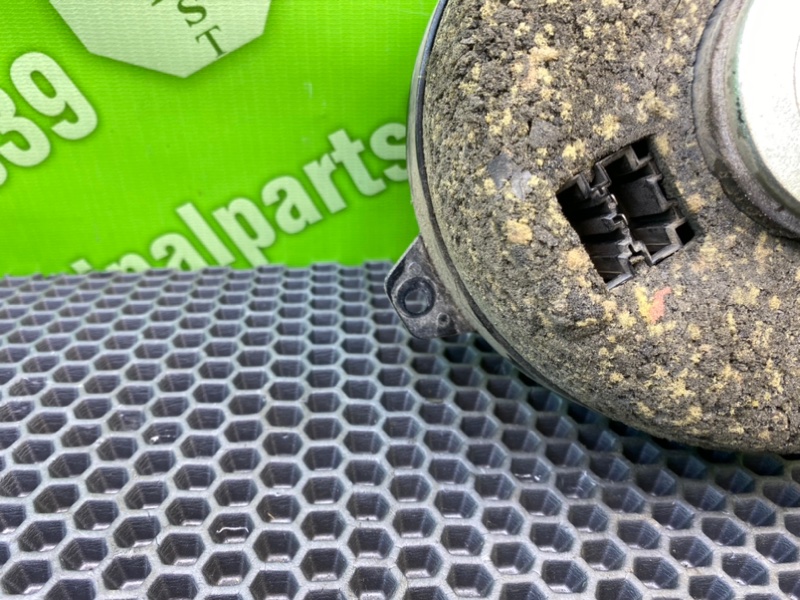 Динамик, 1000 рублей, Калининград