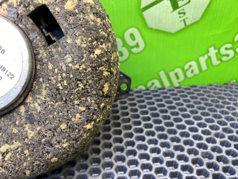 Динамик, 1000 рублей, Калининград