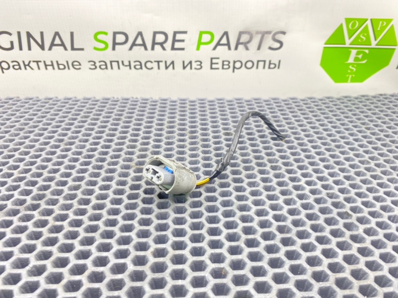 Фишка, 1000 рублей, Калининград