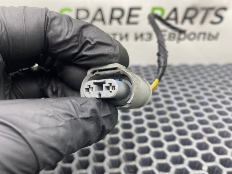 Фишка, 1000 рублей, Калининград