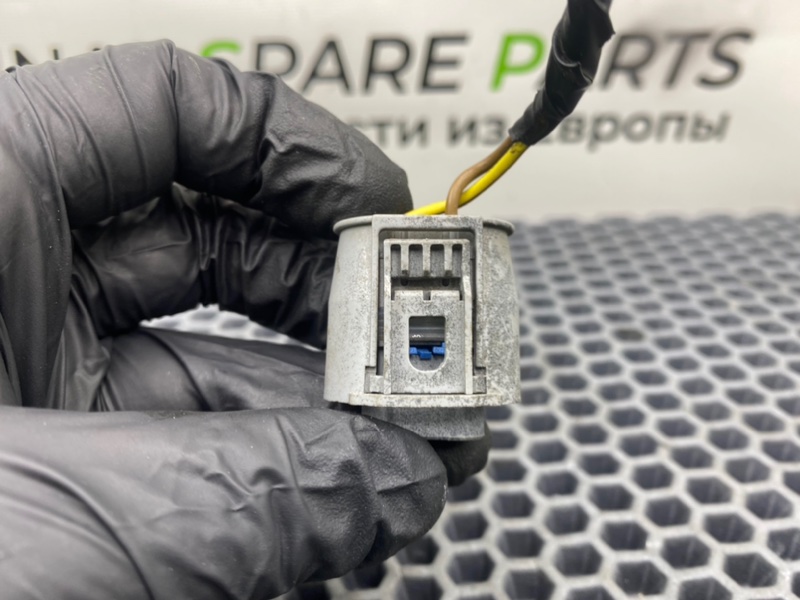 Фишка, 1000 рублей, Калининград