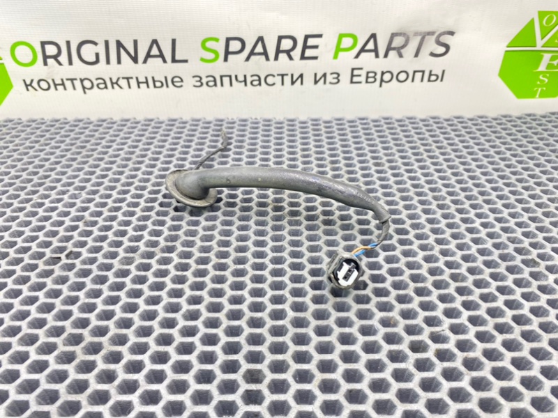 Фишка, 1000 рублей, Калининград