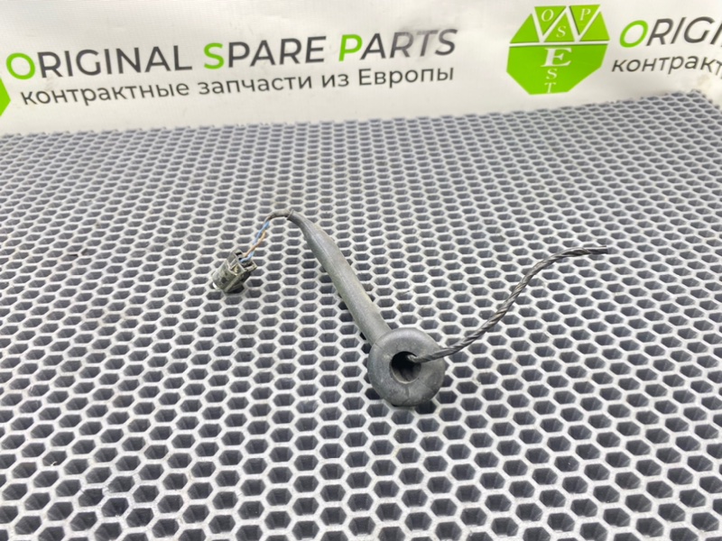 Фишка, 1000 рублей, Калининград