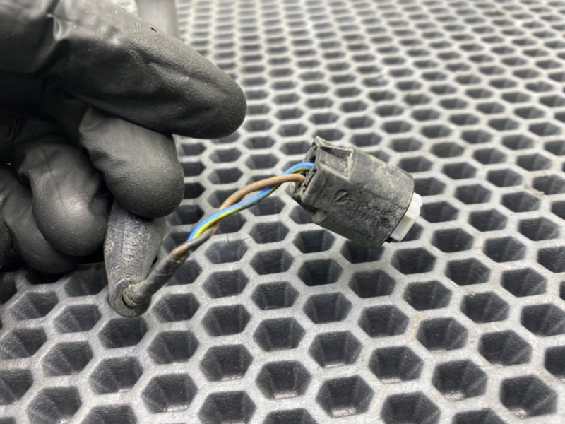 Фишка, 1000 рублей, Калининград