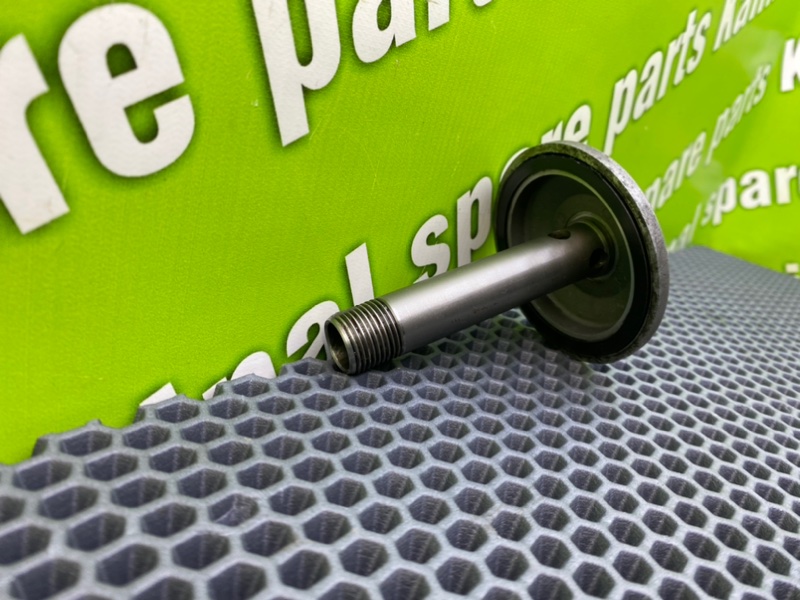 Маслянная крышка, 1000 рублей, Калининград