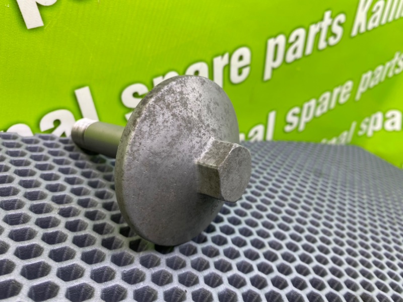 Маслянная крышка, 1000 рублей, Калининград