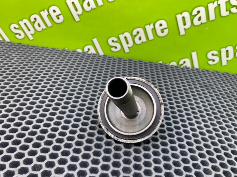 Маслянная крышка, 1000 рублей, Калининград