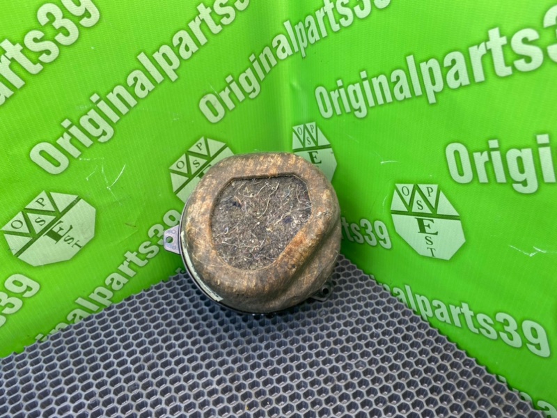 Динамики, 1000 рублей, Калининград