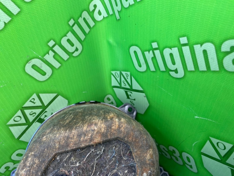 Динамики, 1000 рублей, Калининград