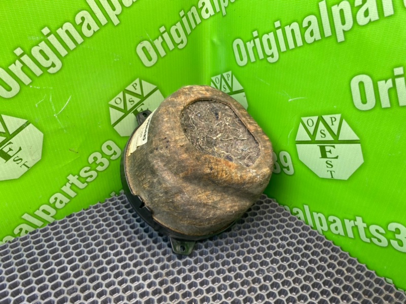 Динамики, 1000 рублей, Калининград