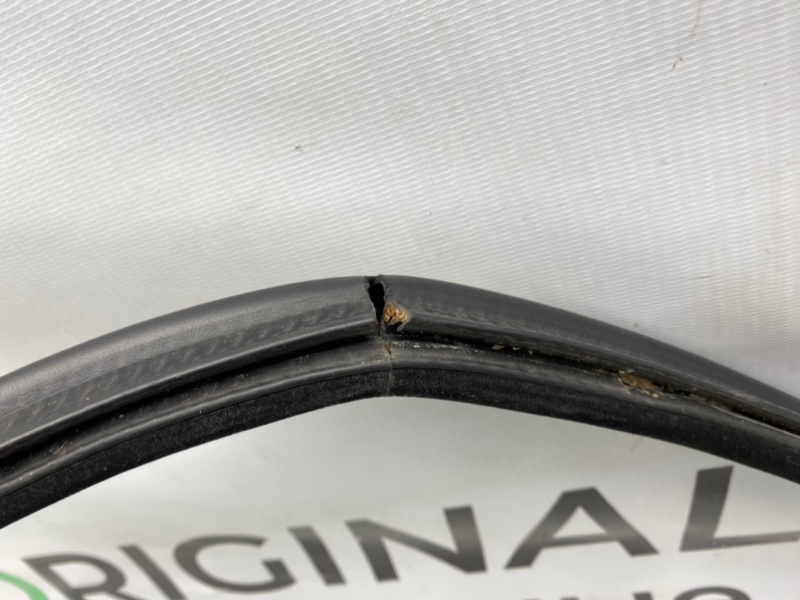 Резинка багажника, 1600 рублей, Калининград