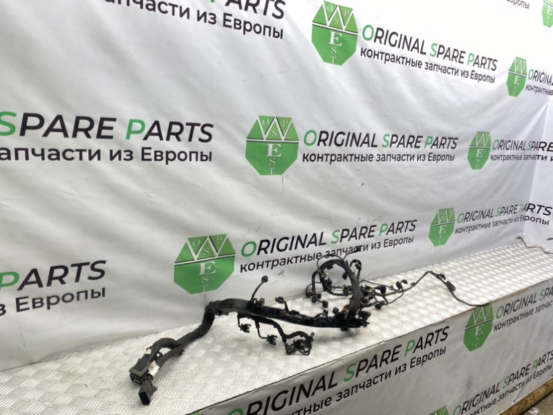 Коса мотора, 6300 рублей, Калининград