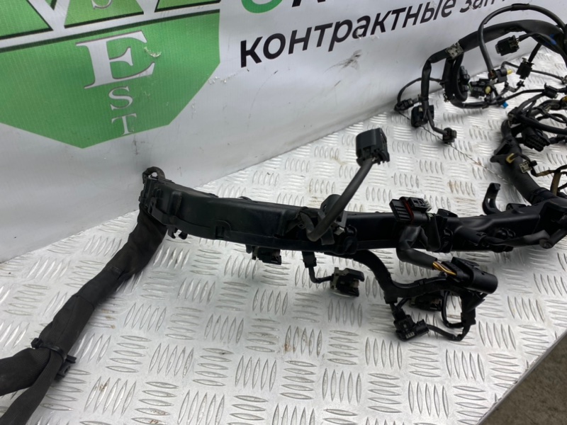 Коса мотора, 6300 рублей, Калининград