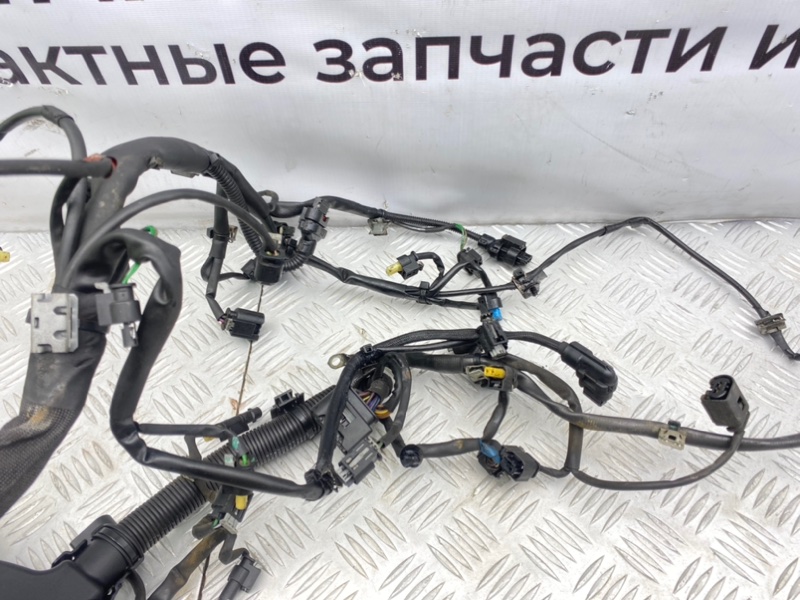 Коса мотора, 6300 рублей, Калининград