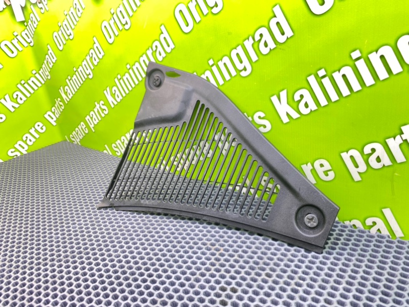 Накладка, 900 рублей, Калининград