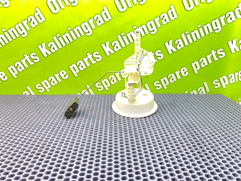 Дут, 1900 рублей, Калининград