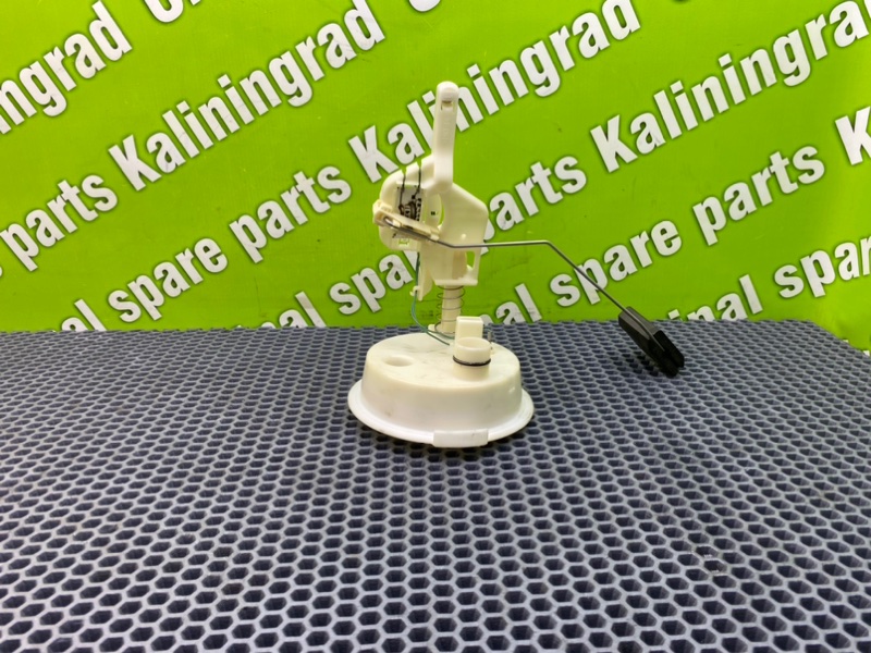 Дут, 1900 рублей, Калининград