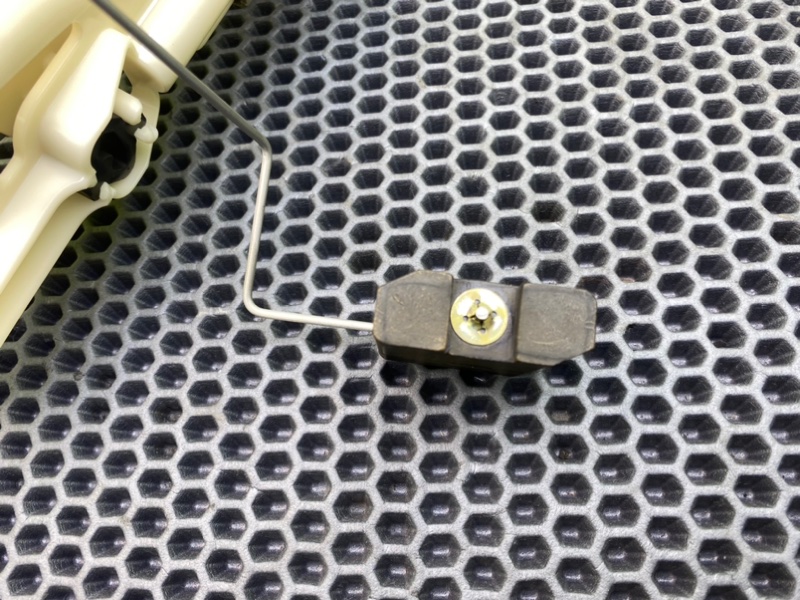 Дут, 1900 рублей, Калининград