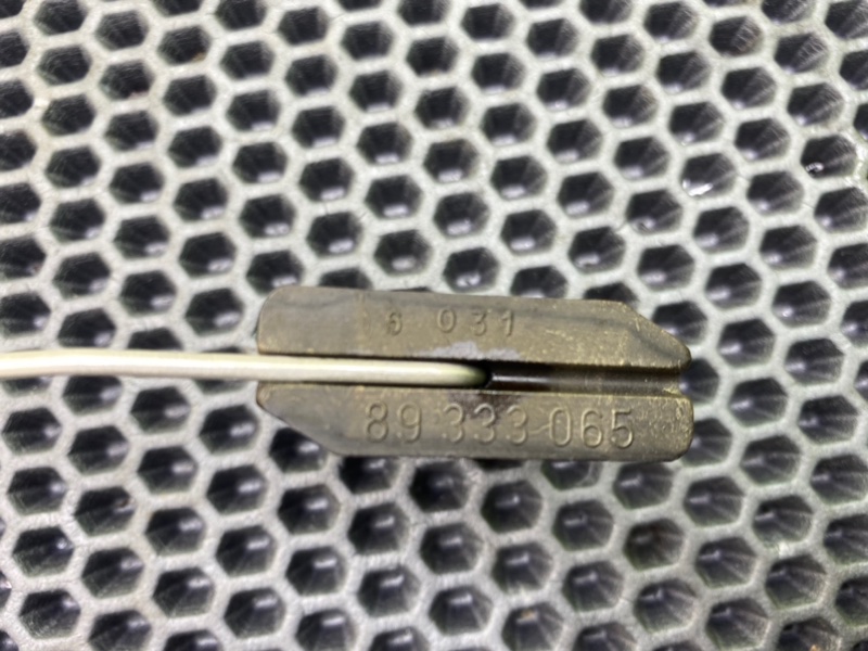 Дут, 1900 рублей, Калининград