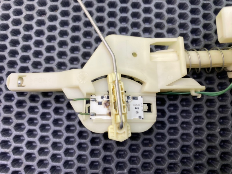 Дут, 1900 рублей, Калининград