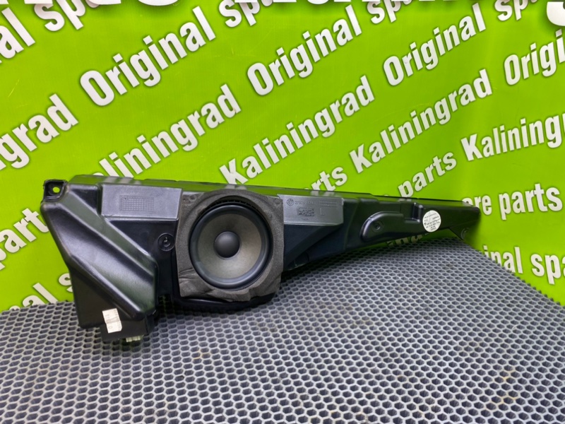 Динамик, 1600 рублей, Калининград