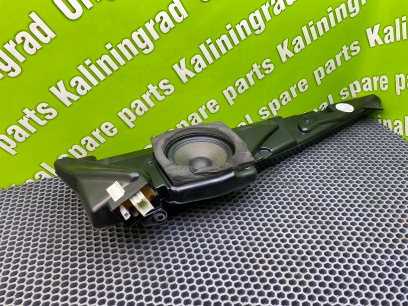 Динамик, 1600 рублей, Калининград