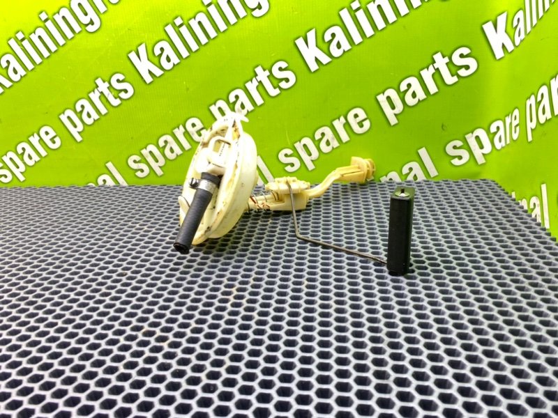 Дут, 2100 рублей, Калининград