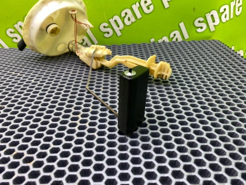 Дут, 2100 рублей, Калининград