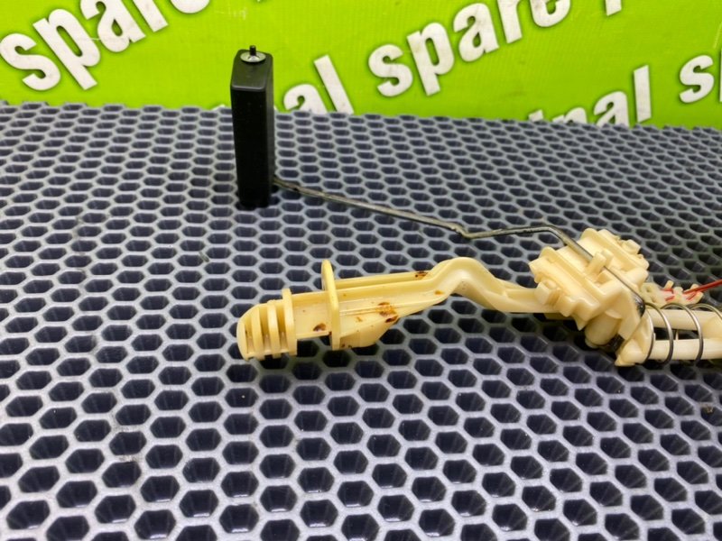 Дут, 2100 рублей, Калининград