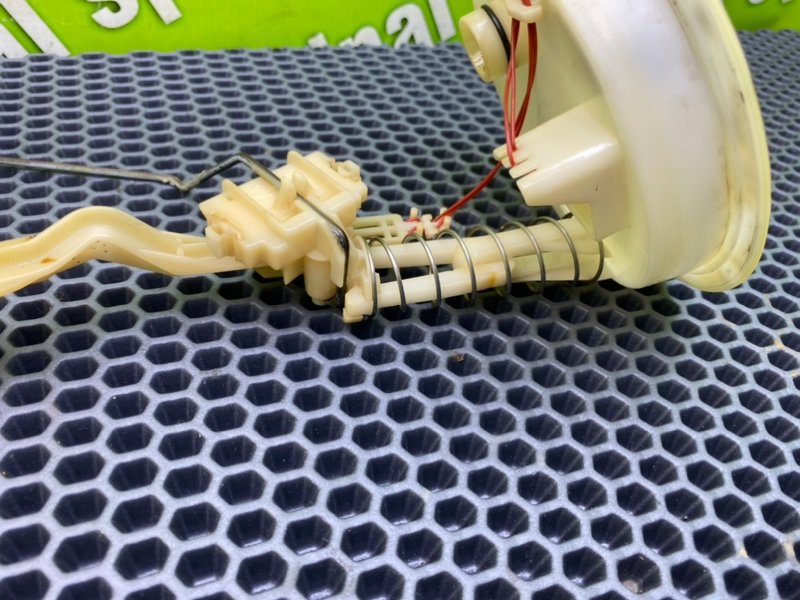 Дут, 2100 рублей, Калининград