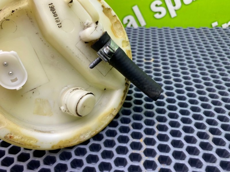 Дут, 2100 рублей, Калининград